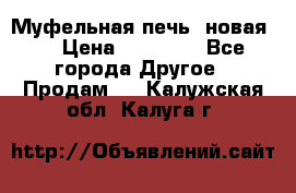 Муфельная печь (новая)  › Цена ­ 58 300 - Все города Другое » Продам   . Калужская обл.,Калуга г.